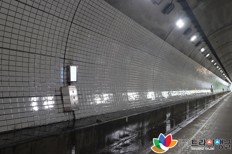 ad61c04483d8b78ea370a78650a2b789_1663831