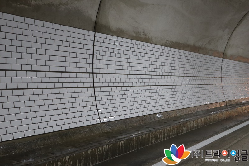 ad61c04483d8b78ea370a78650a2b789_1663832