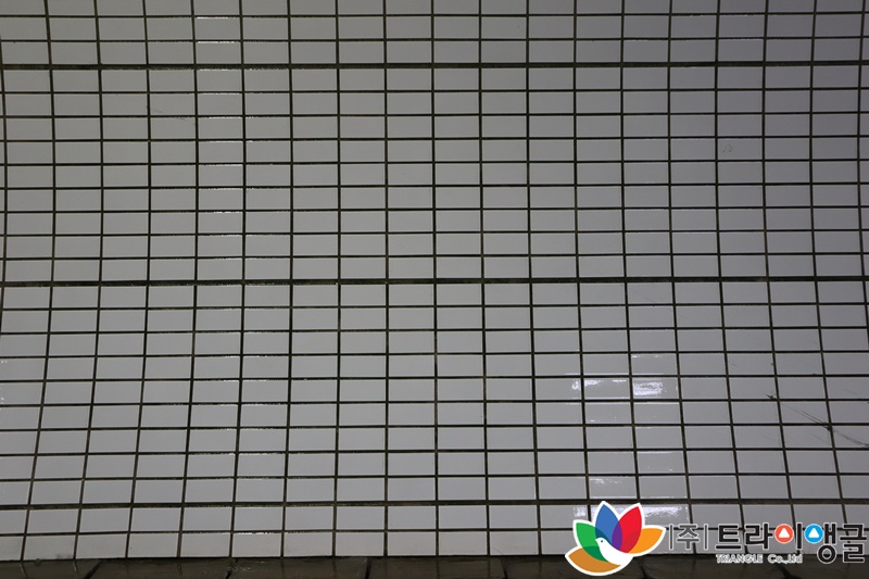 ad61c04483d8b78ea370a78650a2b789_1663832