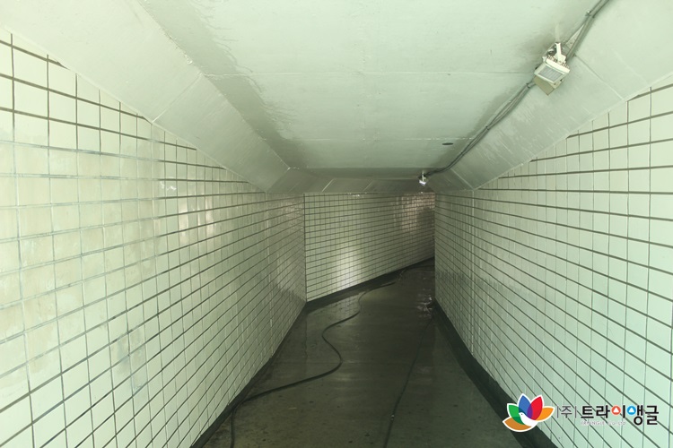 943eff9672e54ddd7112fdc10d9ff9f7_1553578